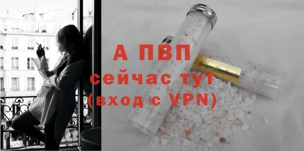 дживик Гусев