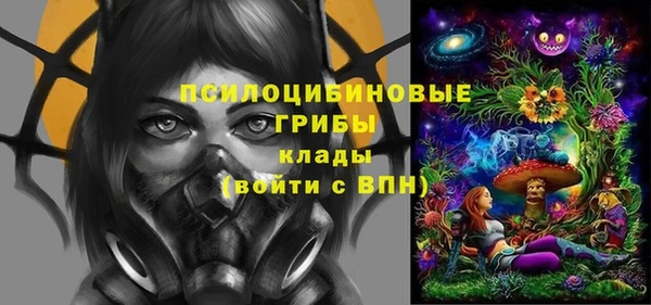 прущие крисы Гусь-Хрустальный