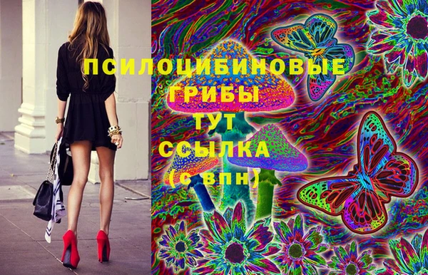 прущие крисы Гусь-Хрустальный