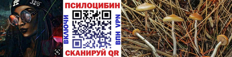 Галлюциногенные грибы прущие грибы  Купить где  Ишим 