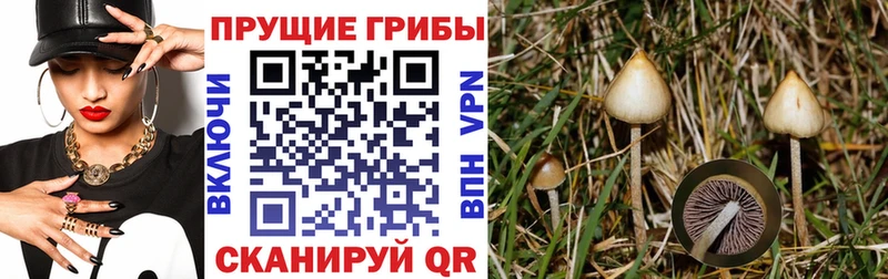 Псилоцибиновые грибы мицелий Ишим