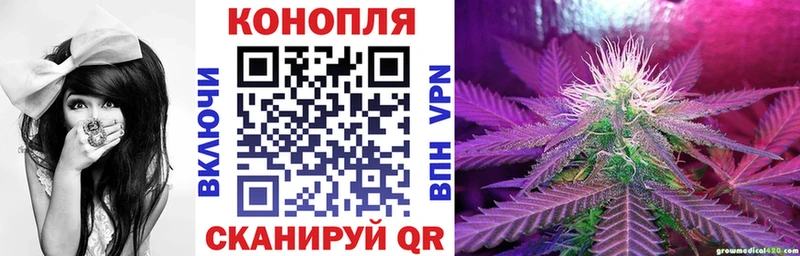 Купить где  Ишим  Каннабис конопля 